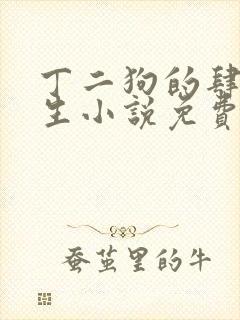 丁二狗的肆意人生小说免费 笔趣阁