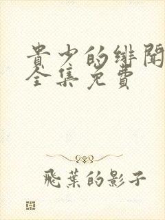 贵少的绯闻女友全集免费