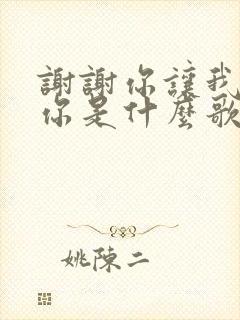 谢谢你让我遇见你是什么歌名的歌词