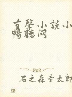 有声小说小苮儿畅听网