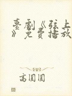 台剧《弦上光年》免费播放全集高清