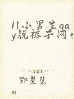 11小男生gay脱裤子网站