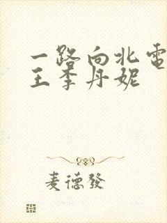 一路向北电影 王李丹妮封面