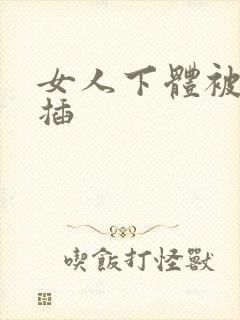 女人下体被男人插