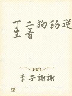 丁二狗的逆袭人生看封面