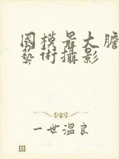 国模最大胆人体艺术摄影