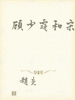 顾少霆和宋斯曼