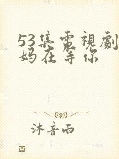 53集电视剧妈妈在等你