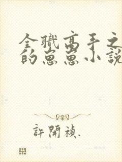 全职高手之叶修的崽崽小说