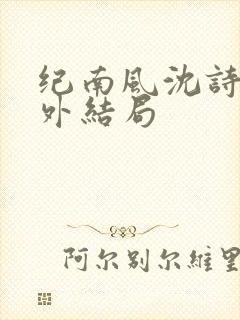 纪南风沈诗澜番外结局