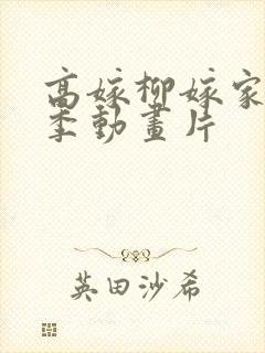 高嫁柳嫁家第二季动画片封面