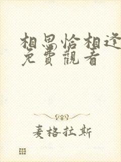 相思恰相逢短剧免费观看