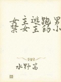 女主逃跑男主囚禁女主的小说