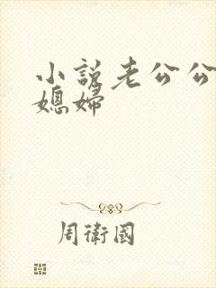 小说老公公和儿媳妇封面