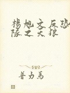 杨旭文反恐特战队之天狼