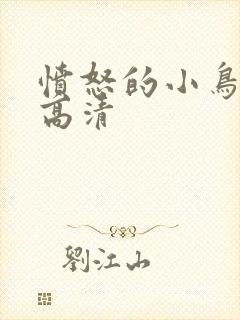 愤怒的小鸟电影高清