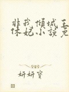 非我倾城王爷要休妃小说免费阅读