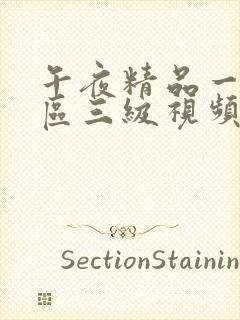 午夜精品一区二区三级视频