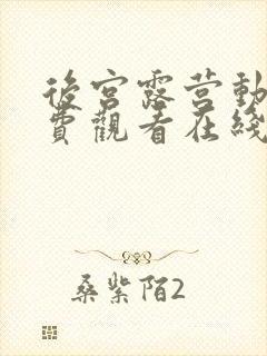 后宫露营动漫免费观看在线