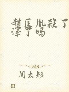 赵匡胤杀了张彦泽了吗封面