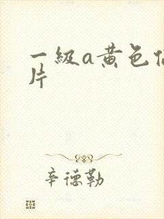 一级a黄色伦理片封面