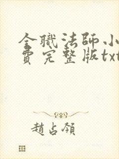 全职法师小说免费完整版txt下载