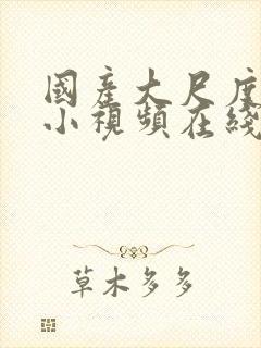 国产大尺度福利小视频在线观看