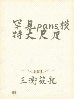 罕见pans模特大尺度