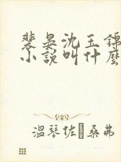 裴晏沈玉锦原著小说叫什么名字