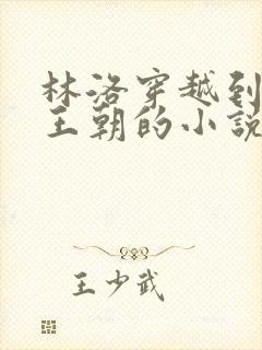 林洛穿越到大乾王朝的小说免费阅读封面