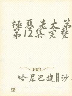 极恶老大第二季第12集完整版