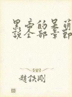 黑帝的呆萌妻小说全部章节