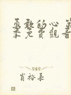 勇敢的心 第3季免费观看全集