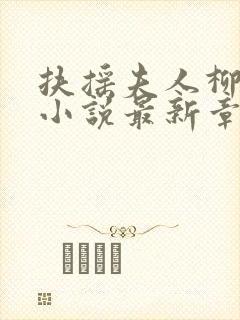 扶摇夫人柳真真小说最新章节更新时间
