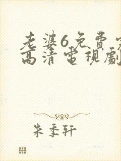 老婆6免费完整高清电视剧在线观看