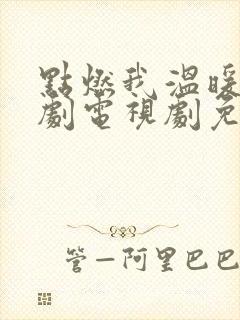 点燃我温暖你追剧电视剧免费观看