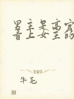 男主是高官已婚看上女主的小说