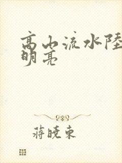 高山流水陆瑶周明亮封面