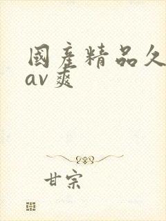 国产精品久久久av爽