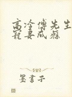 高冷傅先生宠妻宠妻成瘾封面