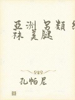 亚洲 另类 丝袜 美腿