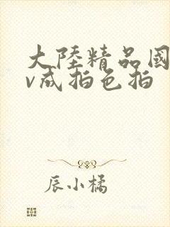 大陆精品国产av成拍色拍