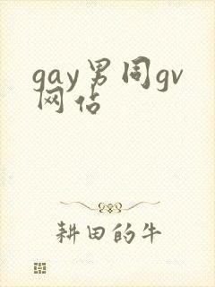 gay男同gv网站