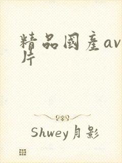 精品国产av毛片