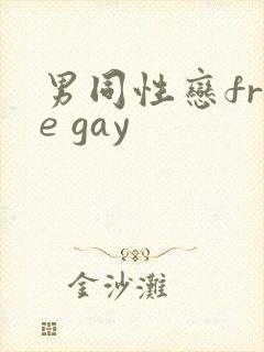 男同性恋free gay