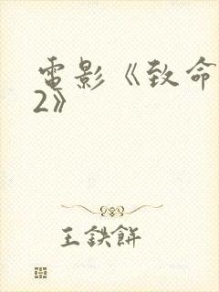 电影《致命黑兰2》