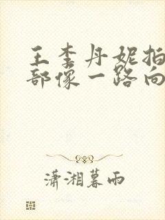 王李丹妮拍过几部像一路向西的电影