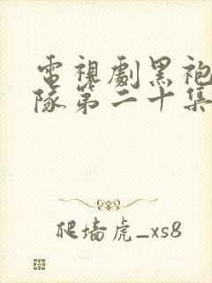 电视剧黑袍纠察队第二十集