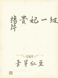 杨贵妃一级黄色片封面