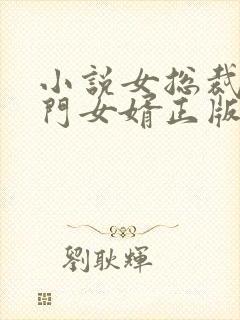 小说女总裁的上门女婿正版封面